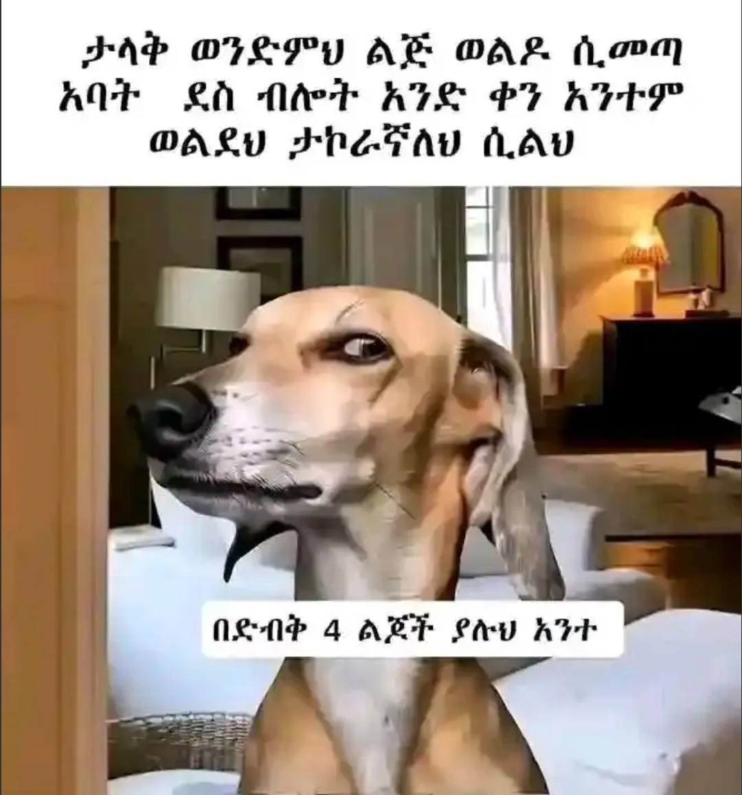 ታላቅ ወንድምህ ልጅ ወልዶ ሲመጣ አባት ደስ ብሎት አንድ ቀን አንተም ወልደህ | ታኮራኛለህ ሲልህ PAP OTE PU Ae OAS fam AQE £0. hel ATS PF ARTES OakD ) Pheinw fate